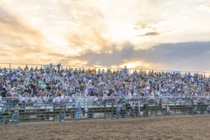 crowd at howl