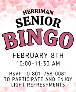 Senior Bingo flier