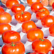 Tomatoes at the farmers market