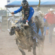 Bullrider