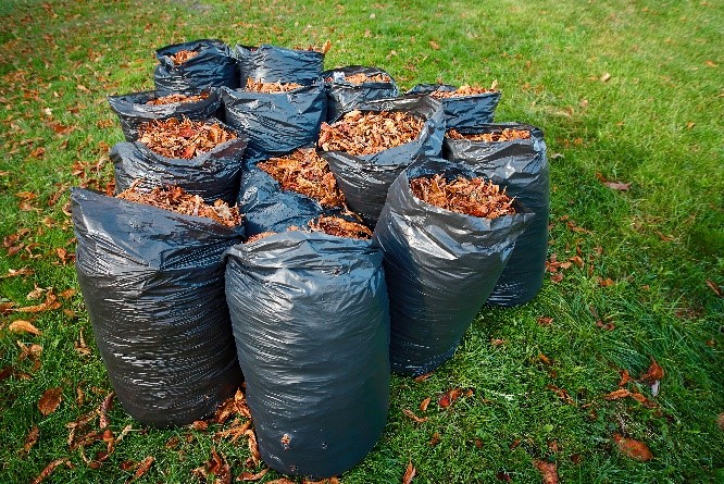 Leaf-Bags.jpg