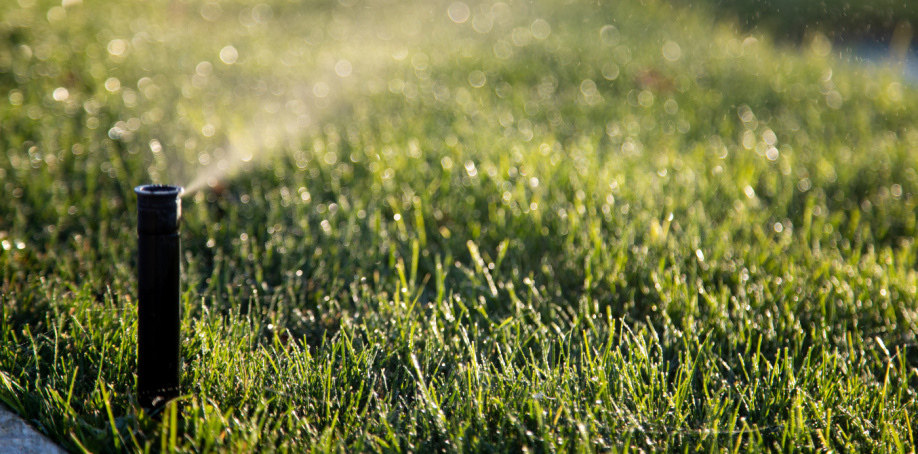 A sprinkler at Crane Park sprays water onto grass